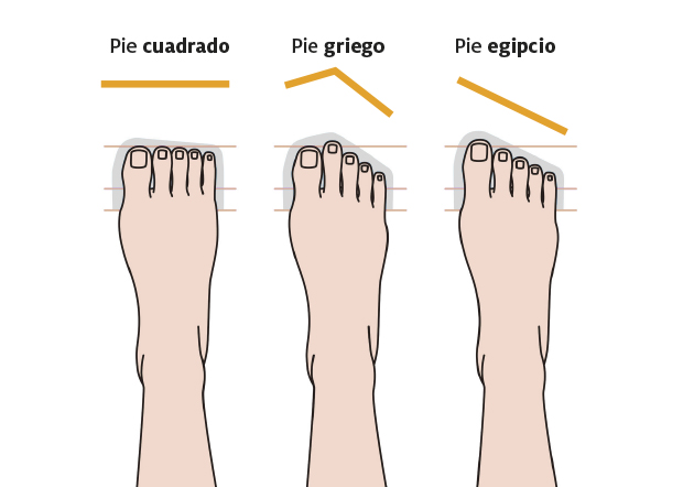 tipos de pies